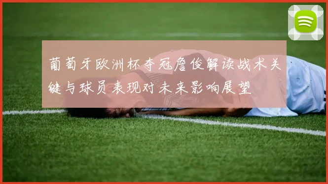 葡萄牙欧洲杯夺冠詹俊解读战术关键与球员表现对未来影响展望