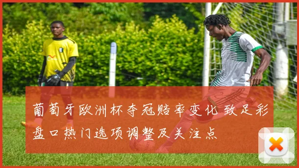 葡萄牙欧洲杯夺冠赔率变化 致足彩盘口热门选项调整及关注点